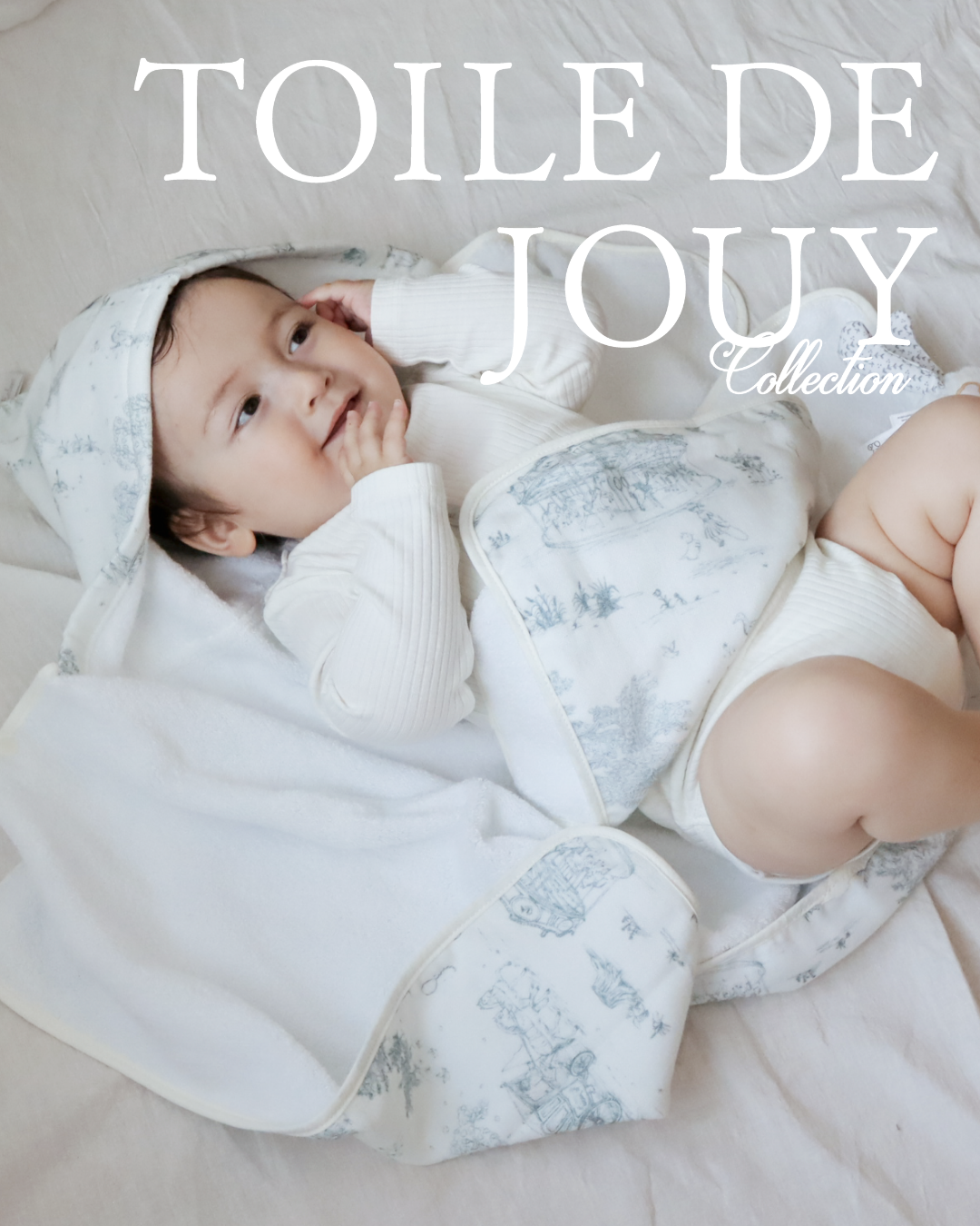 ジュイシリーズ