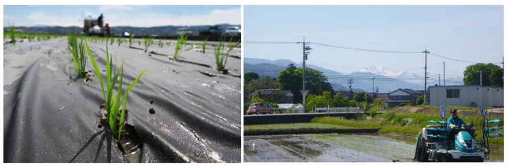 お米へのこだわり
